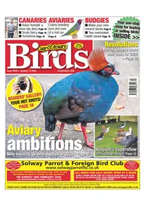 15/01/2020 
                issue 15/01/2020