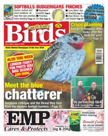 15/05/2019 
                issue 15/05/2019