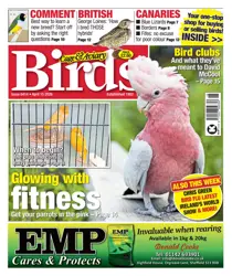 Cage & Aviary Birds 
                issue 15th April 2026
