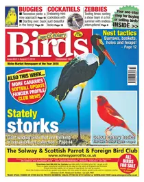 15th August 2018 
                issue 15th August 2018