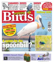 15th October 2025 
                issue 15th October 2025