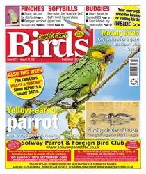 16-Aug-23 
                issue 16-Aug-23