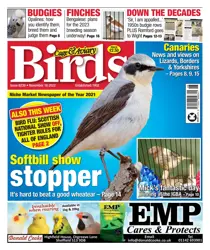 16-Nov-22 
                issue 16-Nov-22