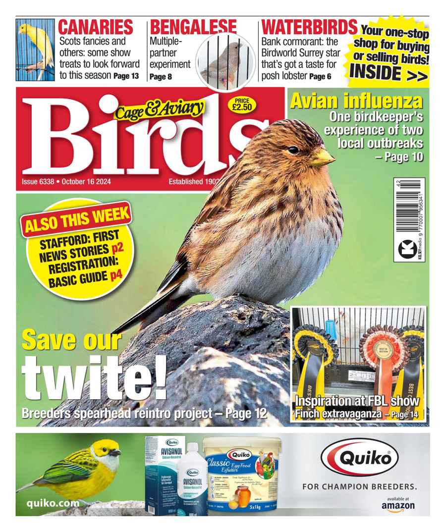 Cage & Aviary Birds issue 16-Oct-24