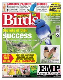 16/06/2021 
                issue 16/06/2021