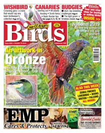 16/10/2019 
                issue 16/10/2019