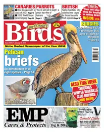 16th January 2019 
                issue 16th January 2019