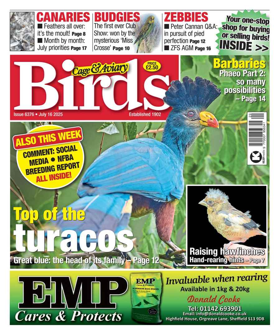 CAGE AND AVIARY BIRDS