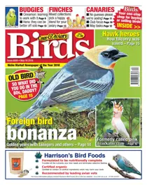 16th May 2018 
                issue 16th May 2018