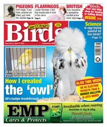 17-Apr-24 
                issue 17-Apr-24