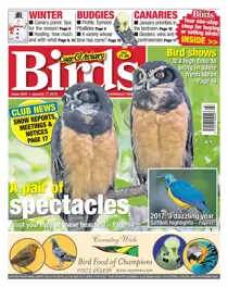 17 January 2018 
                issue 17 January 2018