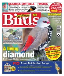 17-May-23 
                issue 17-May-23