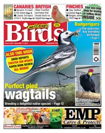 17/11/2021 
                issue 17/11/2021