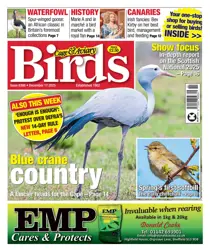 Cage & Aviary Birds issue 17th December 2025