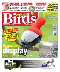 Cage & Aviary Birds issue 17th June 2026