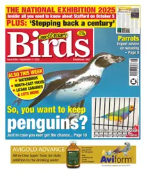 17th September 2025 
                issue 17th September 2025