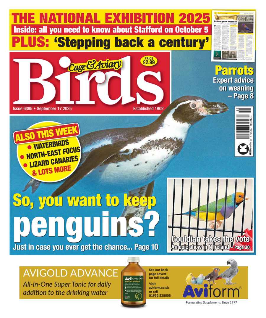 CAGE AND AVIARY BIRDS