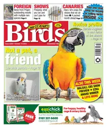 18-Oct-23 
                issue 18-Oct-23