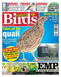 18/08/2021 
                issue 18/08/2021