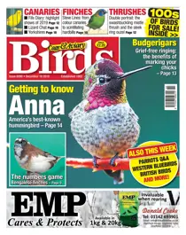 18/12/2019 
                issue 18/12/2019