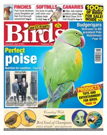 18th April 2018 
                issue 18th April 2018