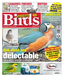 Cage & Aviary Birds issue 