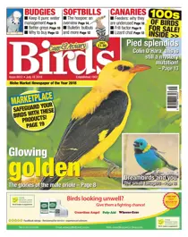 18th July 2018 
                issue 18th July 2018