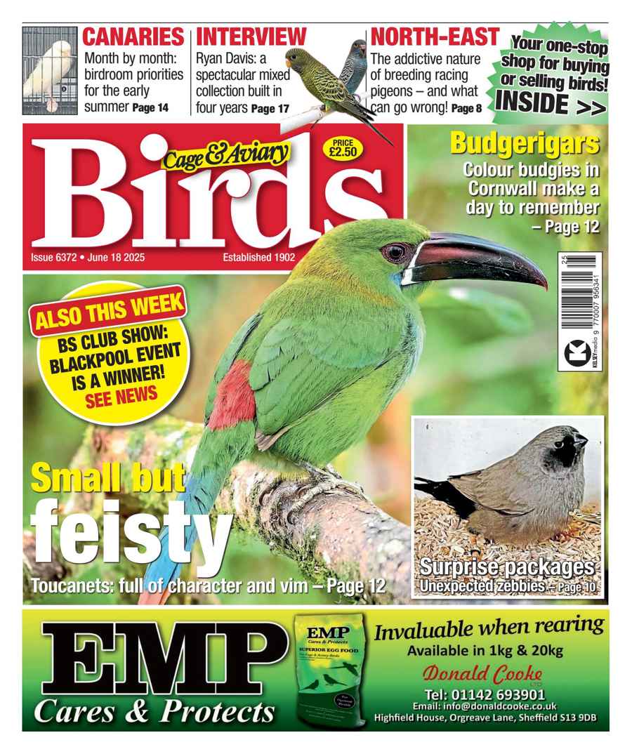 CAGE AND AVIARY BIRDS