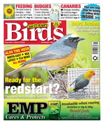 Cage & Aviary Birds 
                issue 18th March 2026