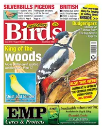 19-08-2020 
                issue 19-08-2020