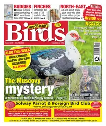 19-Jul-23 
                issue 19-Jul-23