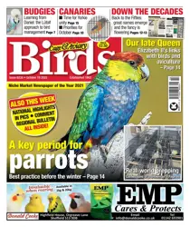 19-Oct-22 
                issue 19-Oct-22