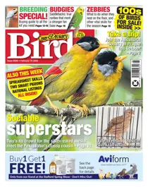 19/02/2020 
                issue 19/02/2020