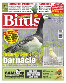 19/06/2019 
                issue 19/06/2019