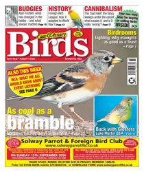 Cage & Aviary Birds issue 19th August 2026