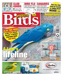 Cage & Aviary Birds 
                issue 1st April 2026
