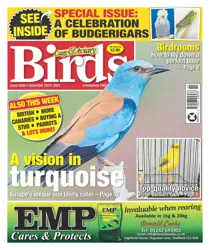 20-Dec-23 
                issue 20-Dec-23