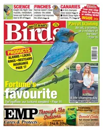 20 September 2017 
                issue 20 September 2017