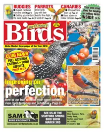 20/02/2019 
                issue 20/02/2019