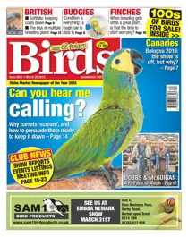 20/03/2019 
                issue 20/03/2019