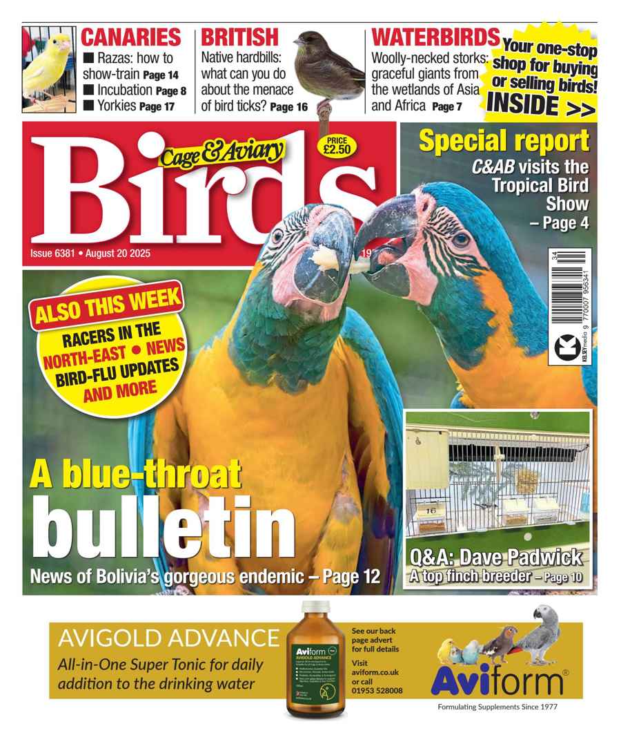 CAGE AND AVIARY BIRDS