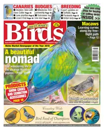 20th June 2018 
                issue 20th June 2018