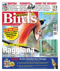 21-Jun-23 
                issue 21-Jun-23