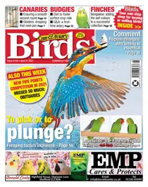 21/04/2021 
                issue 21/04/2021