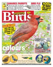 21st February 2018 
                issue 21st February 2018