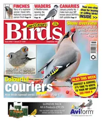 Cage & Aviary Birds issue Cage & Aviary Birds