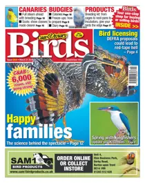 21st March 2018 
                issue 21st March 2018