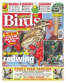 21st November 2018 
                issue 21st November 2018