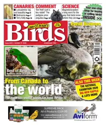 Cage & Aviary Birds 
                issue 21st October 2026