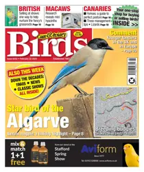 22-Feb-23 
                issue 22-Feb-23